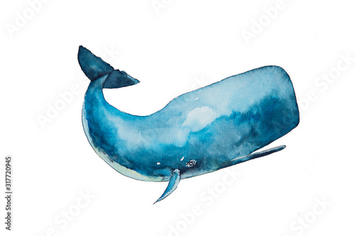 Watercolor drawing of blue cachalot isolated on white background. Handmade illustration oа blue sperm whale.