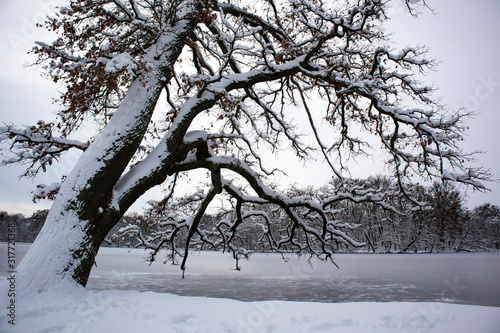 Park in Nymphenburg Castle, Munich in wintertime photo