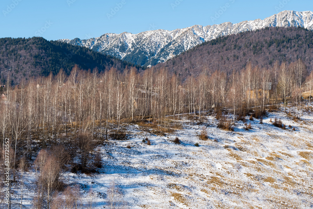Mountains Covered by Snow and a Tree Barrier Creating a Beautiful Winter Landscape Mountains Covered by Snow and a Tree Barrier Creating a Beautiful Winter Landscape