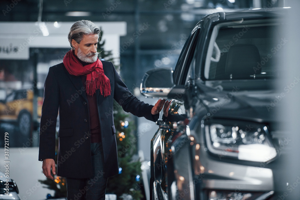 Fashionable old man with grey hair and mustache looking for a new car indoors in salon Fashionable old man with grey hair and mustache looking for a new car indoors in salon