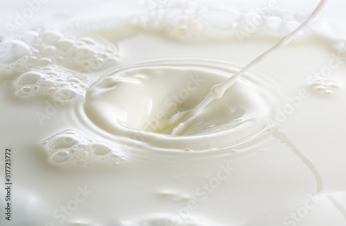 splash on the surface of white milk on a white background