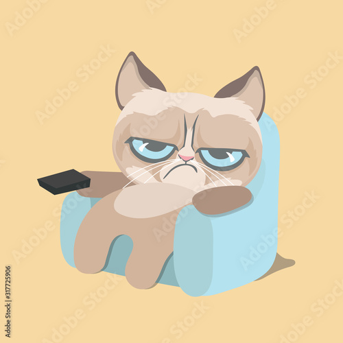 Cute cranky cat watching home video. .