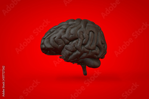 Anatomical illustration over a vivid colored background. Brain close-up.