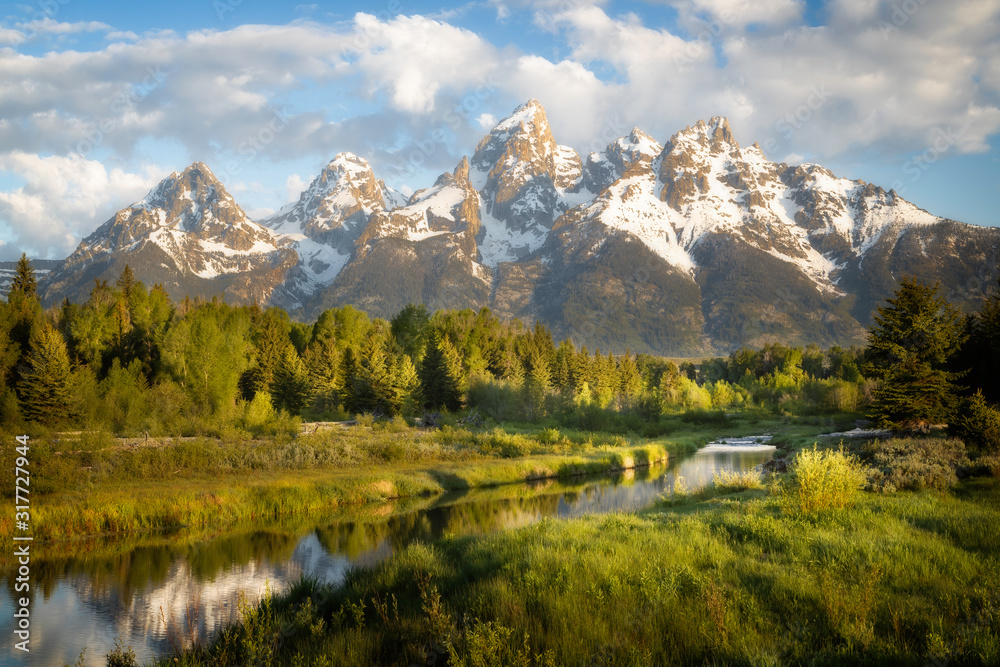 Fototapeta premium Schwabacher Landing in Grand Teton National Park