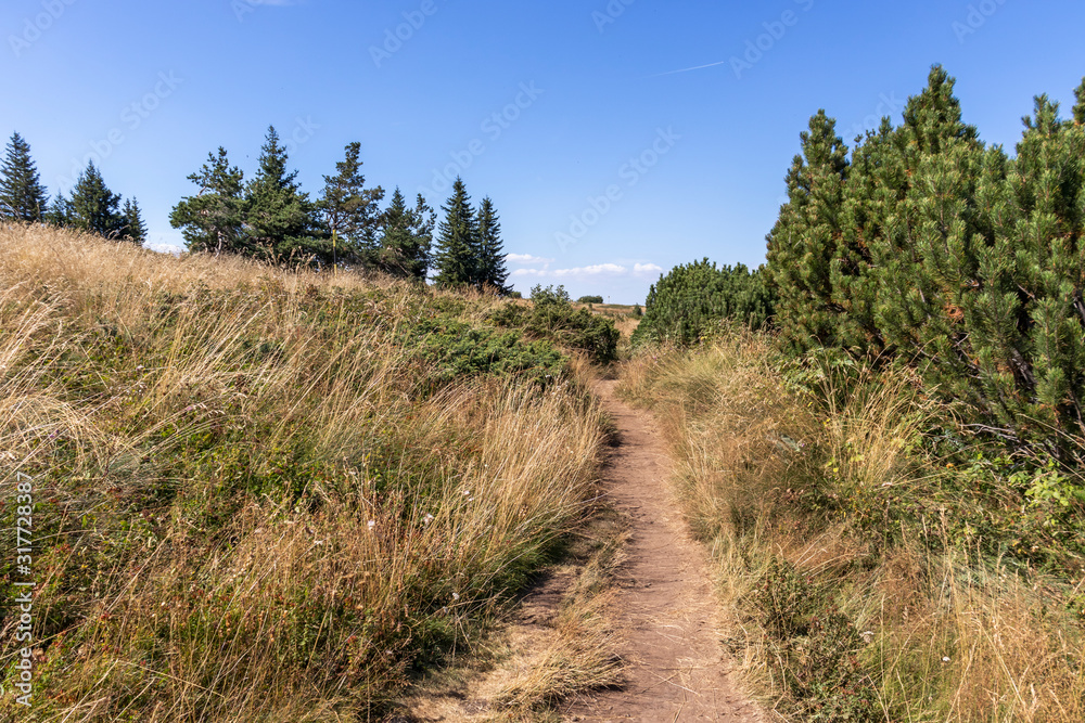 Amazing Autumn landscape of Vitosha Mountain, Bulgaria