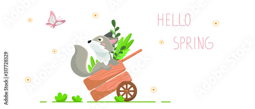 Vector flat illustration with cartoon fox. A gray fox sits in a garden cart and looks at a butterfly. Banner with the inscription: Hello Spring. Isolated on a white background.