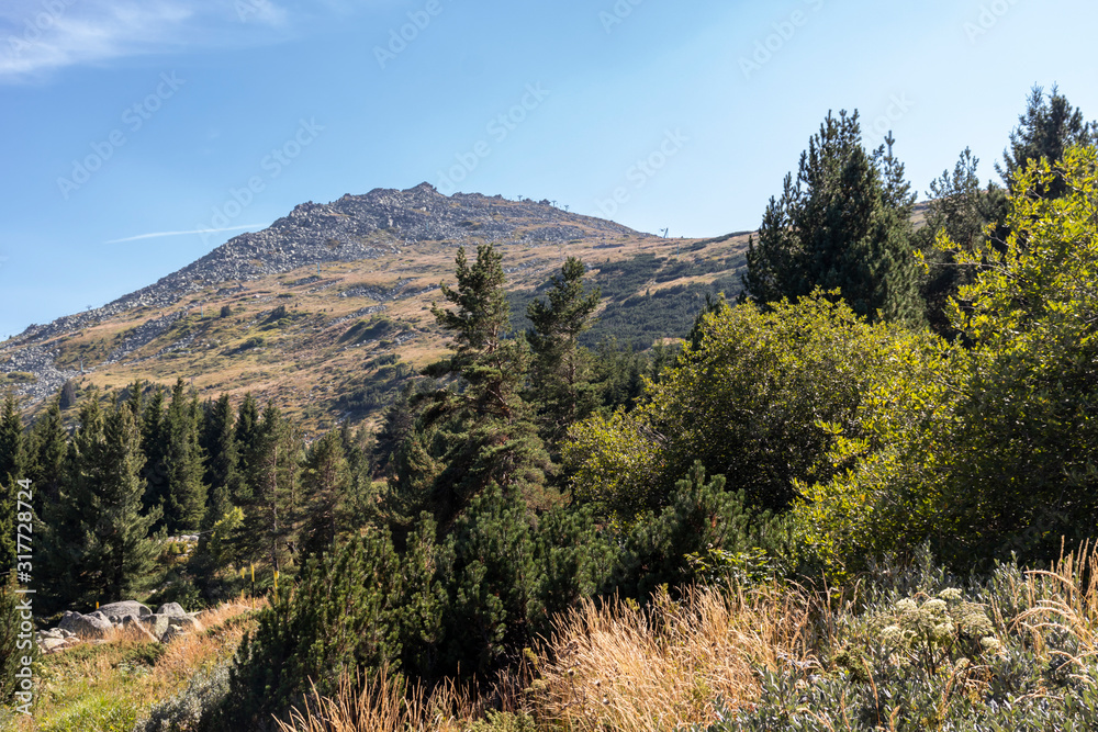 Amazing Autumn landscape of Vitosha Mountain, Bulgaria