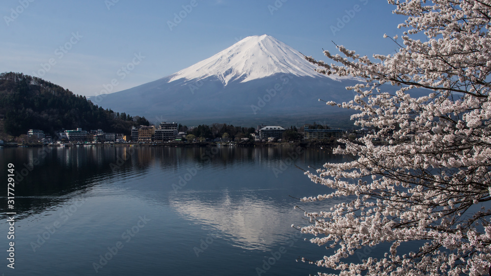 japan cherry blossom sakura mount Fuji lake spring japan cherry blossom sakura mount Fuji lake spring
