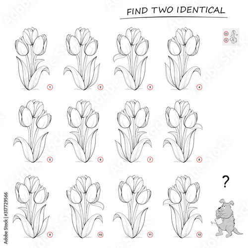 Logic puzzle game for children and adults. Need to find two identical flowers. Printable page for kids brain teaser book. Developing spatial thinking skills. IQ training test. Vector cartoon image.