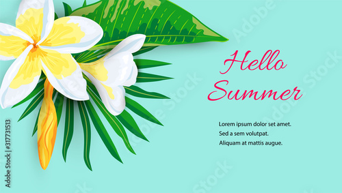 Jungle leaves with tropical flower plumeria. Hello summer banner. Place for text. Vector illustration for web, SPA flyer, poster, sale, party invitation, beauty offer, wedding, bridal shower.