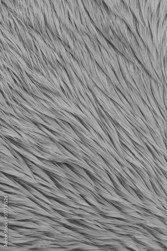 Horse Hair Close Up
