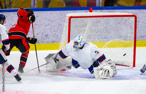 Canvas Print Ice hockey player scores a goal