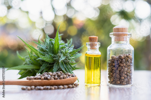 Fototapeta Naklejka Na Ścianę i Meble -  CBD hemp oil in a glass bottle. Hemp seeds in a wooden spoon And the hemp leaf is placed on the table. The concept of cannabis for medicinal purposes. Hemp oil extraction components.