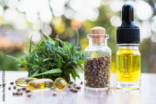 A bottle of hemp oil  seeds and leaves  natural herbs  medical marijuana concepts  CBD hemp oil  hemp products  medicine