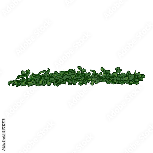 Vector Cartoon Green Clover Grass