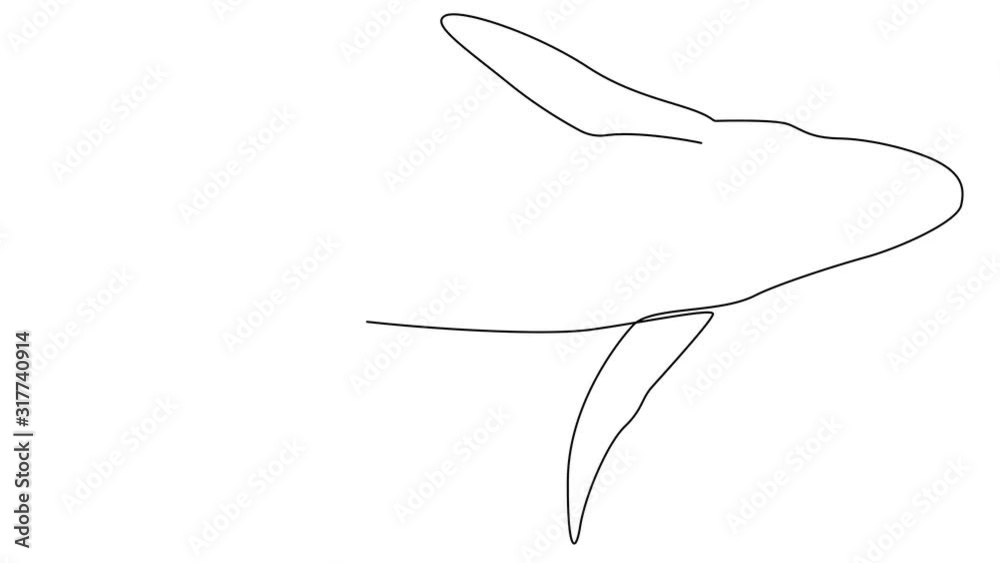 Self drawing simple animation of single continuous one line drawing of whale. Drawing by hand, black lines on a white background. Self drawing simple animation of single continuous one line drawing of whale. Drawing by hand, black lines on a white background.