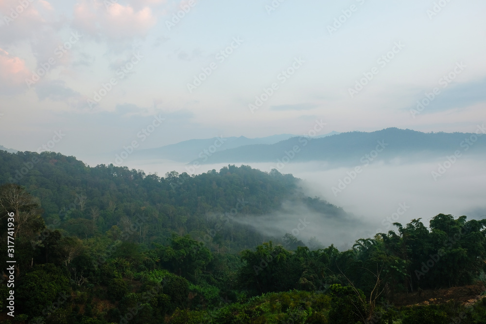 Aerial view of mist, cloud and fog hanging over a lush tropical rainforest in the m