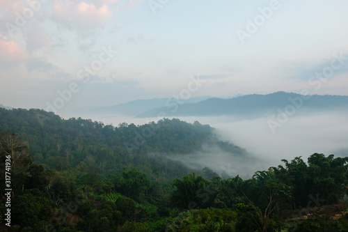Aerial view of mist, cloud and fog hanging over a lush tropical rainforest in the m