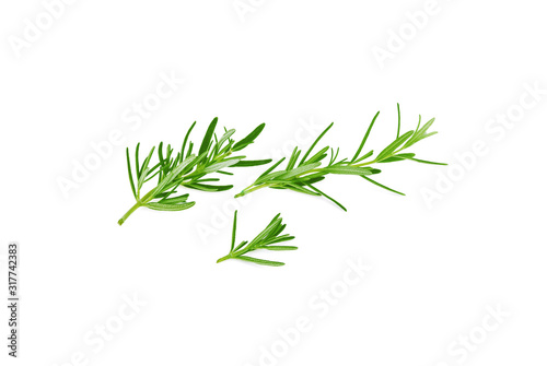 Rosemary twig and leaves isolated on white background