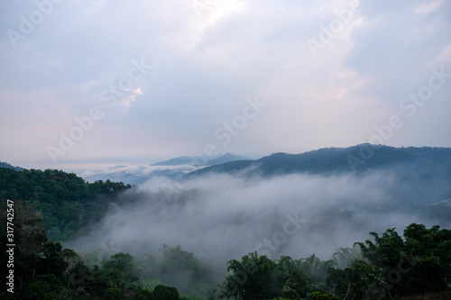 Aerial view of mist, cloud and fog hanging over a lush tropical rainforest in the morning. © Kittipan
