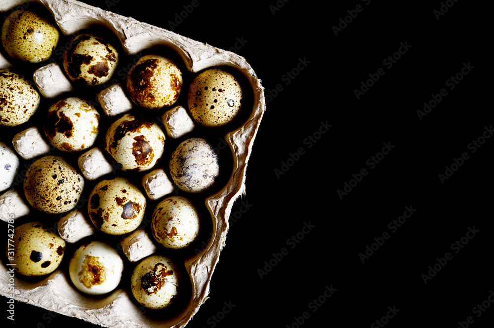 twenty quail eggs in a cardboard box isolated on a black background. space for text twenty quail eggs in a cardboard box isolated on a black background. space for text