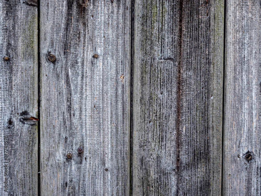 Obraz premium Graue Holzwand Hintergrund