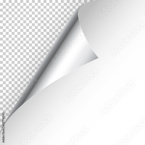 Realistic silver curled page corner with shadow on checkered background. Greeting card design element. Blank sheet of paper. Vector illustration.