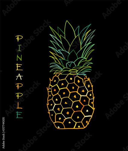 Pineapple colorful, sketch for your design