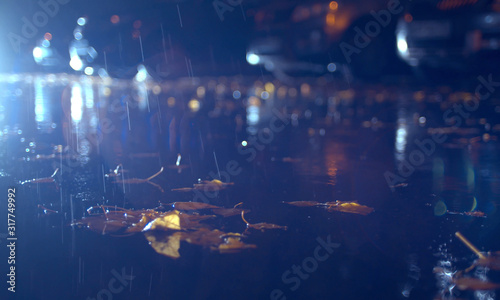 Autumn rain in the night city