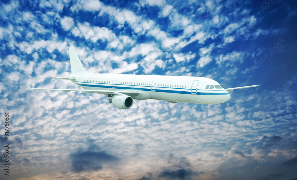 Fototapeta premium Large passenger plane