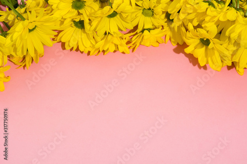 Yellow chrysanthemum bouquet on pink background. Copy space	