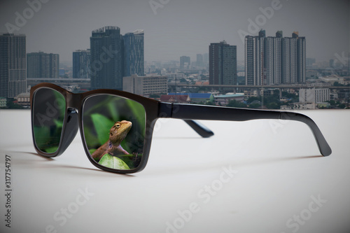 Abstract illustrations: the vision of leaders and sustainable development between the growth of urban society and the environment.By reflecting of the natural image through the lens of glasses that lo