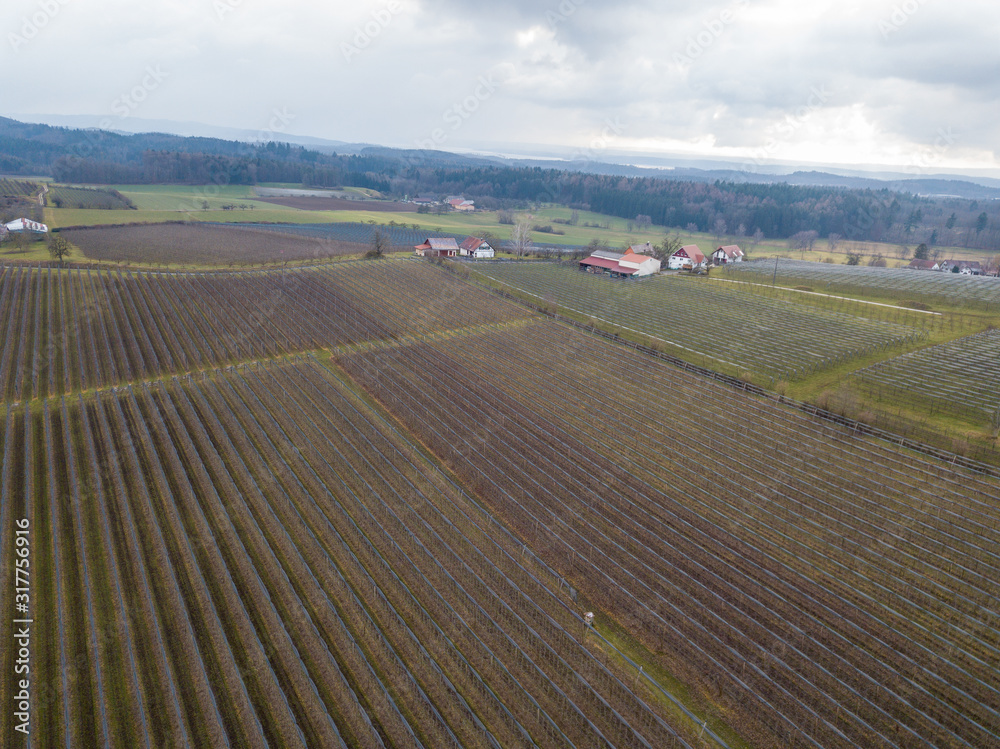 Bei Überlingen Bilder aus der Luft Bei Überlingen Bilder aus der Luft