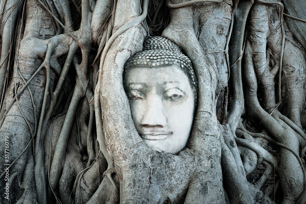 Old buddha head trapped in bodhi tree roots in Wat Mahathat Temple, Ayutthaya. Bangkok province, Thailand Old buddha head trapped in bodhi tree roots in Wat Mahathat Temple, Ayutthaya. Bangkok province, Thailand