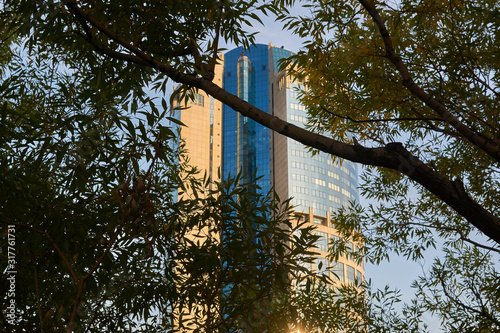 Obraz na płótnie Moscow, Russia - September 12, 2019: The building of the business center Bagration. View of the building through the branches of a tree w salonie