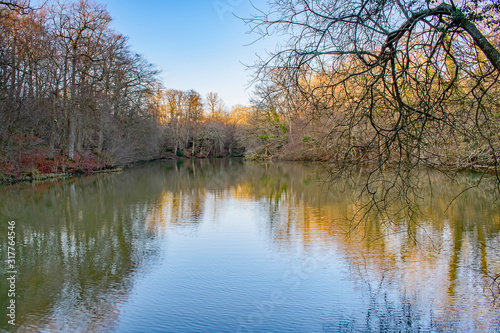 Golden reflectionson a January Sussex Lake