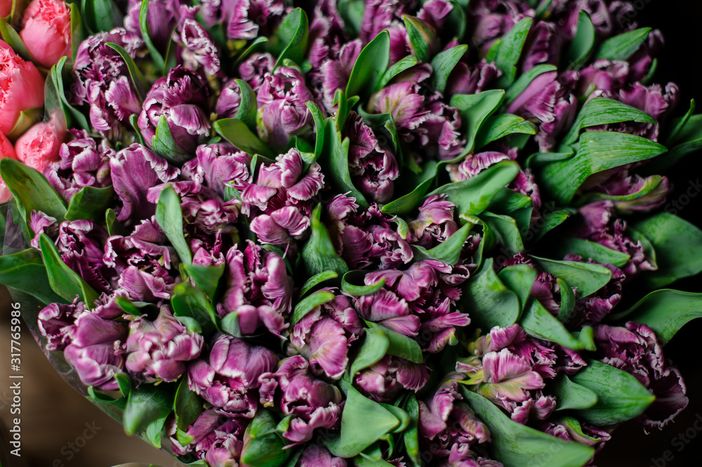 Beautiful bouquet of purple tulips with a green leaves in the transparent wrapping paper Beautiful bouquet of purple tulips with a green leaves in the transparent wrapping paper