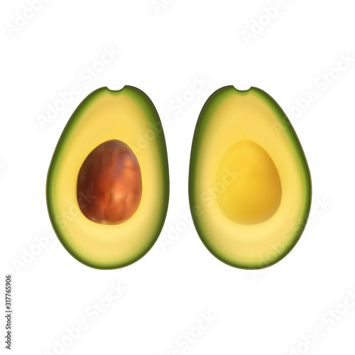 Realistic avocado. Tropical fruit. 3d illustration sectional view