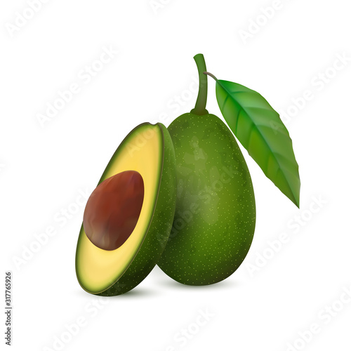 Realistic avocado. Tropical fruit. 3d illustration whole avocado and sectional view