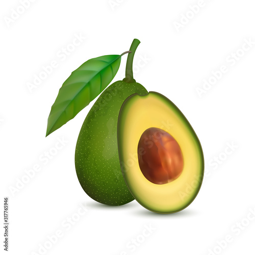 Realistic avocado. Tropical fruit. 3d illustration whole avocado and sectional view