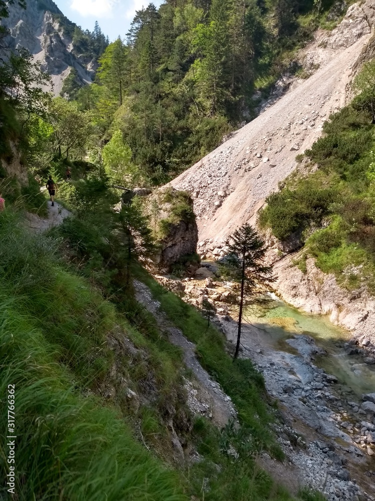 bridge over the river