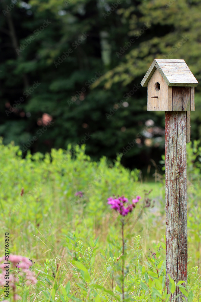 A peaceful rural scene of a rustic wooden birdhouse in a meadow habitat of grasses and flowers, with copy space A peaceful rural scene of a rustic wooden birdhouse in a meadow habitat of grasses and flowers, with copy space