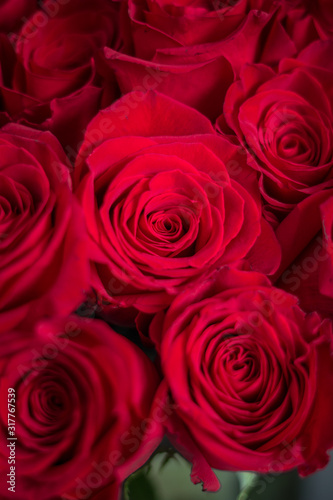 Red rose bouquet on Valentine s day