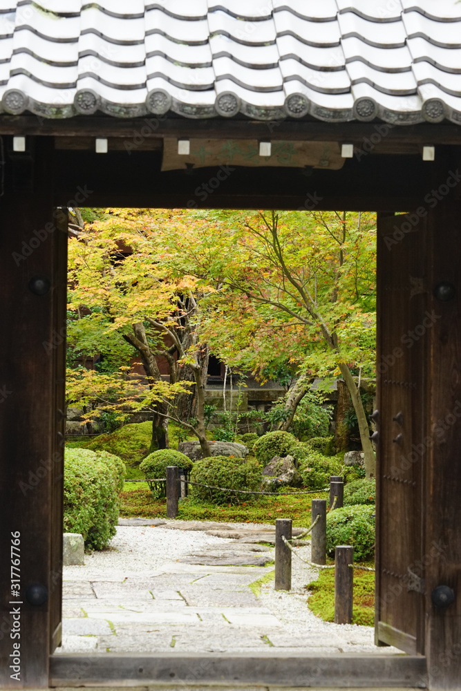 秋の気配がする圓光寺の庭園 秋の気配がする圓光寺の庭園