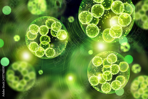 Fotomurale Green Algae Cells 3D Illustration