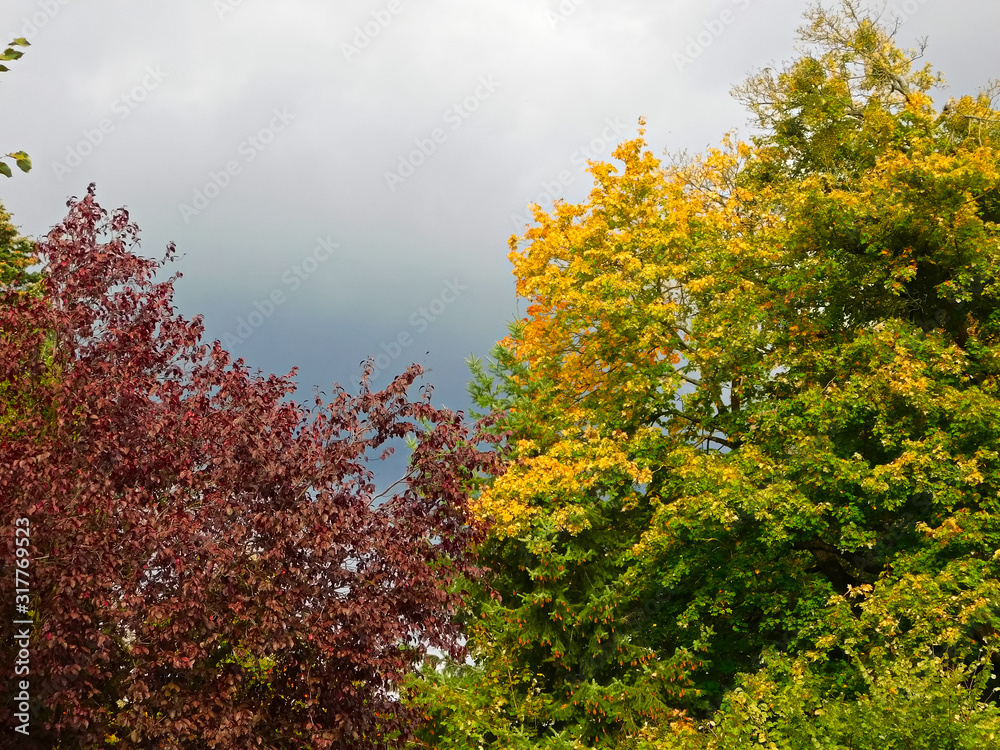 Das Farben im Herbst in der Uckermark