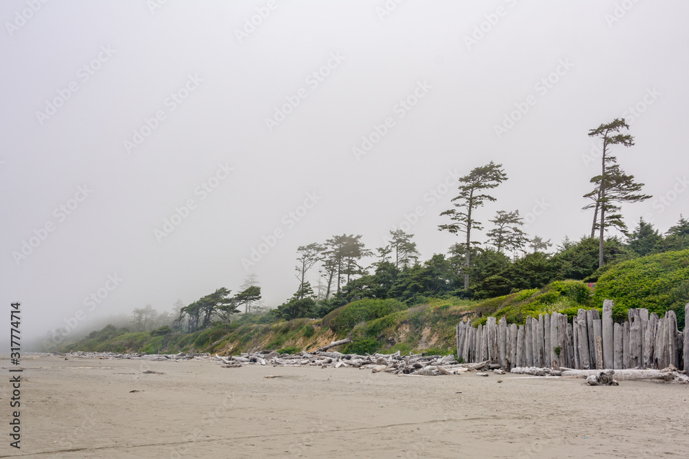 The shore of the Pacific Ocean in the fog. Sandy Beach Kalaloch is area entirely within Olympic National Park in western Jefferson County, Washington, United States.