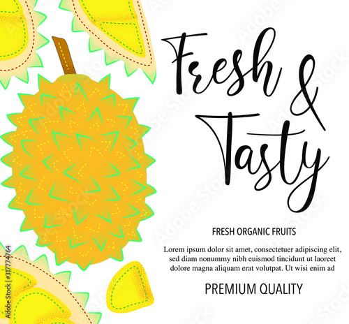 Vector background with durian, whole and pieces. Vector stock illustration isolated on white background. Card design with fruits. Product information and lettering  Fresh and Tasty . 