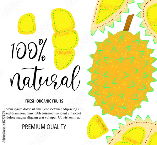 Vector background with durian, whole and pieces. Vector stock illustration isolated on white background. Card design with fruits. Product information and lettering "100% natural". 