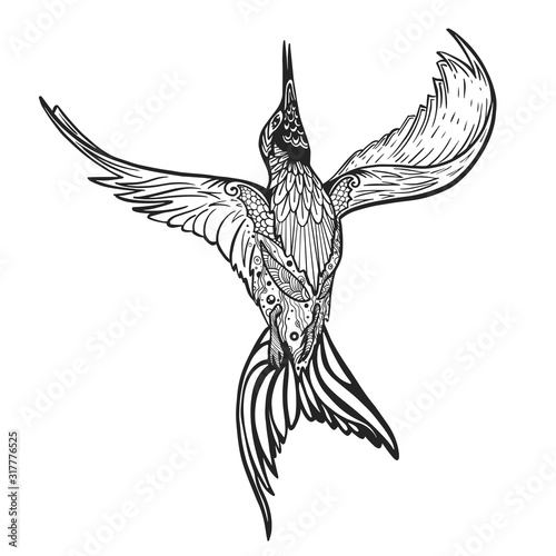 magic bird wings freedom coloring book